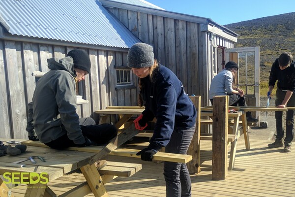 Vier Freiwillige sägen Holz im Workcamp in Island.