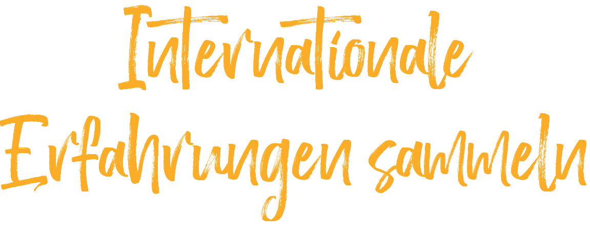 Internationale Erfahrungen sammeln 