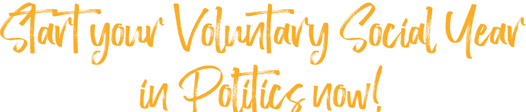 Start your Voluntary Social Year in Politics now! 